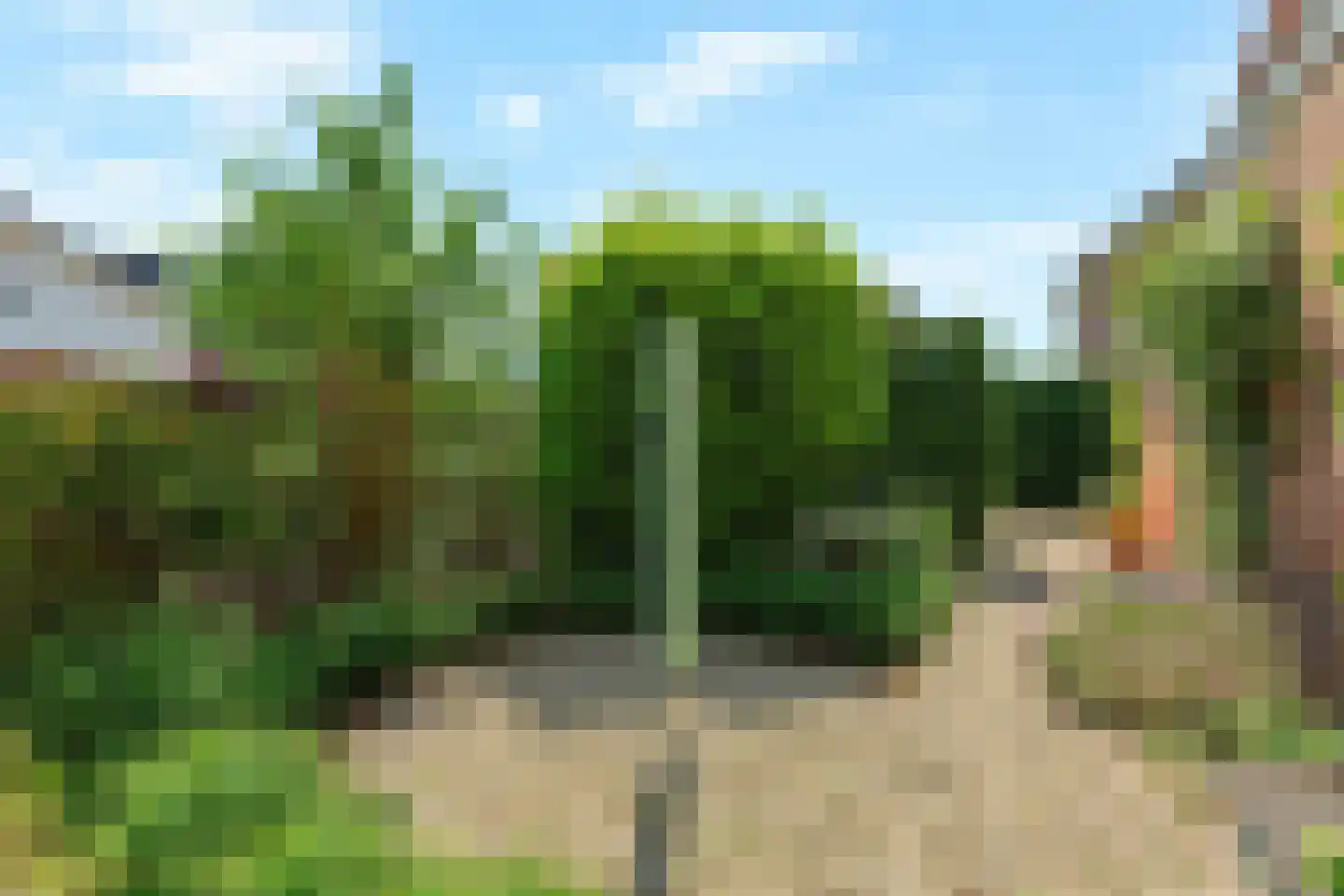 Schapenweg 13 Zeddam thumbnail 49