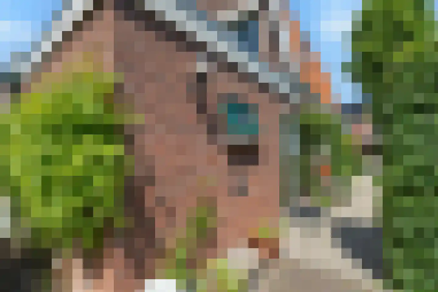 Schapenweg 13 Zeddam thumbnail 50