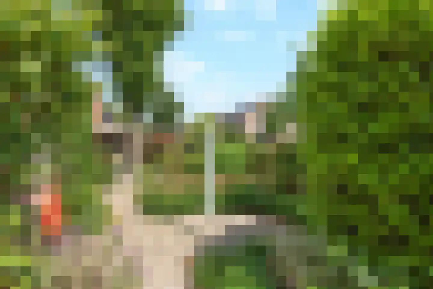 Schapenweg 13 Zeddam thumbnail 51