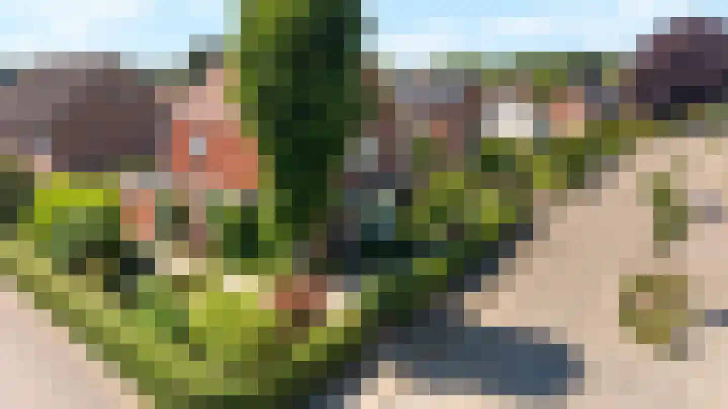 Schapenweg 13 Zeddam thumbnail 56