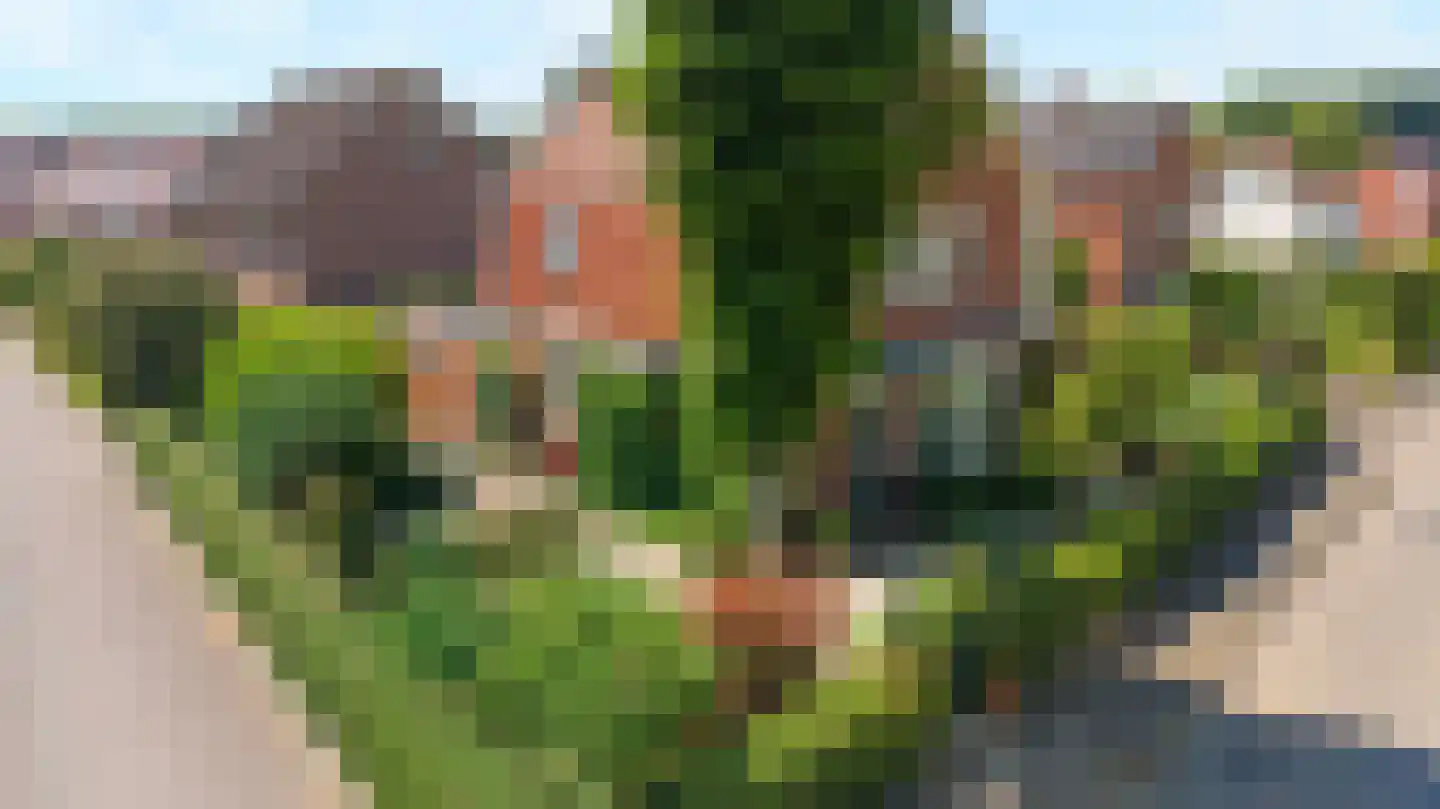 Schapenweg 13 Zeddam thumbnail 57