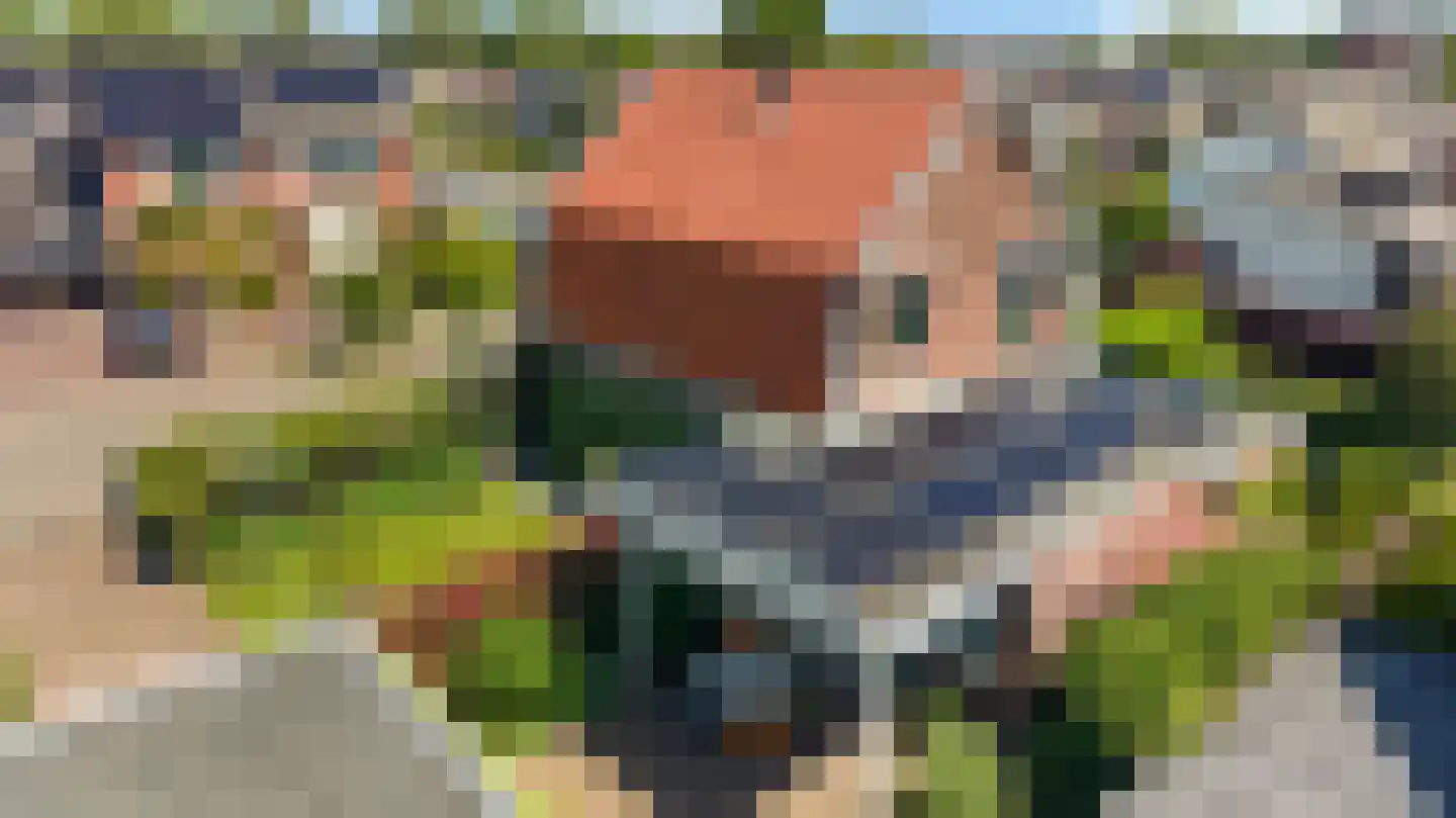 Schapenweg 13 Zeddam thumbnail 59