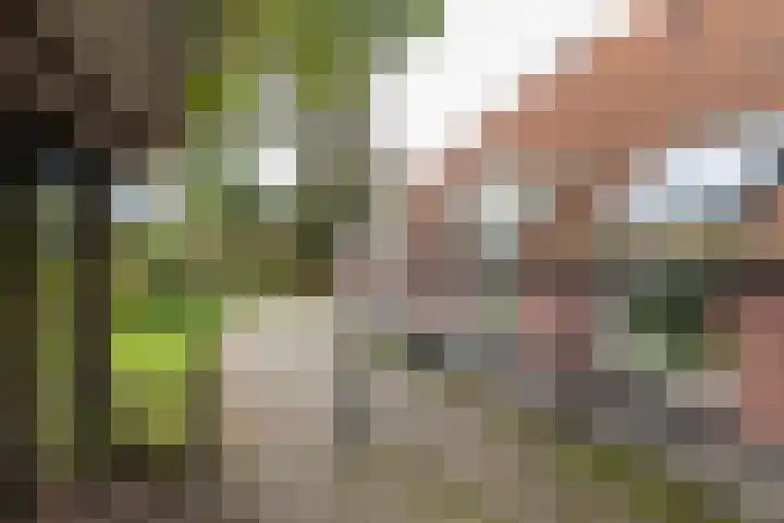 Schapenweg 14 Nietap thumbnail 10