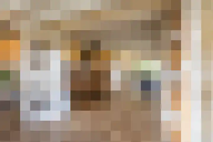 Schapenweg 14 Nietap thumbnail 14