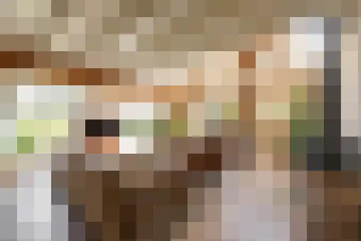 Schapenweg 14 Nietap thumbnail 16