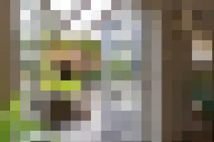 Schapenweg 14 Nietap thumbnail 17