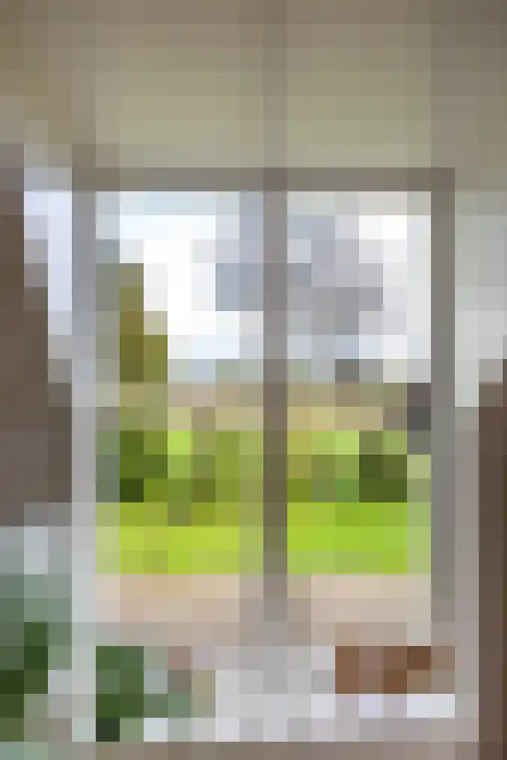 Schapenweg 14 Nietap thumbnail 18