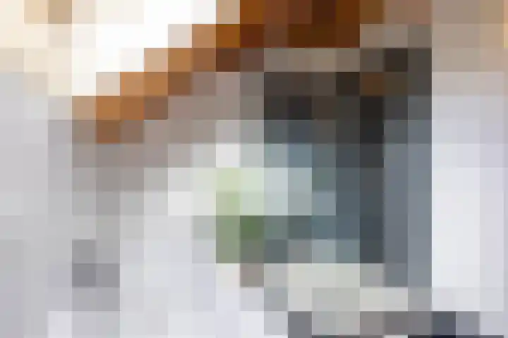 Schapenweg 14 Nietap thumbnail 20