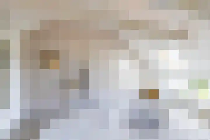 Schapenweg 14 Nietap thumbnail 23