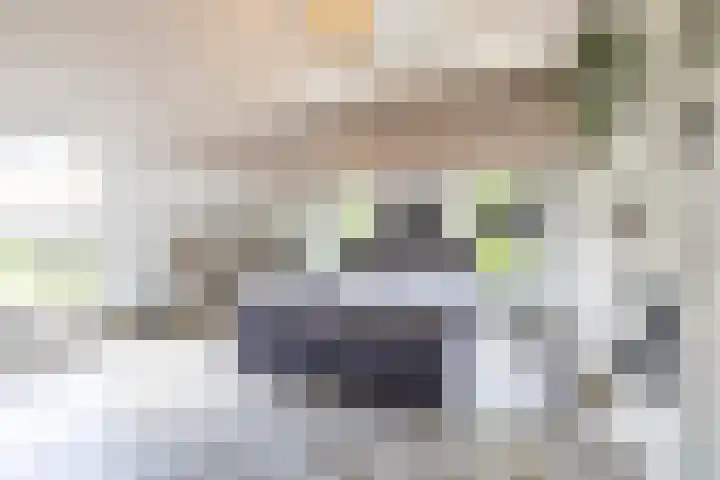 Schapenweg 14 Nietap thumbnail 24