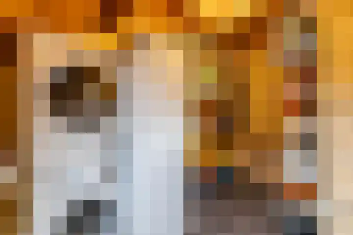 Schapenweg 14 Nietap thumbnail 25