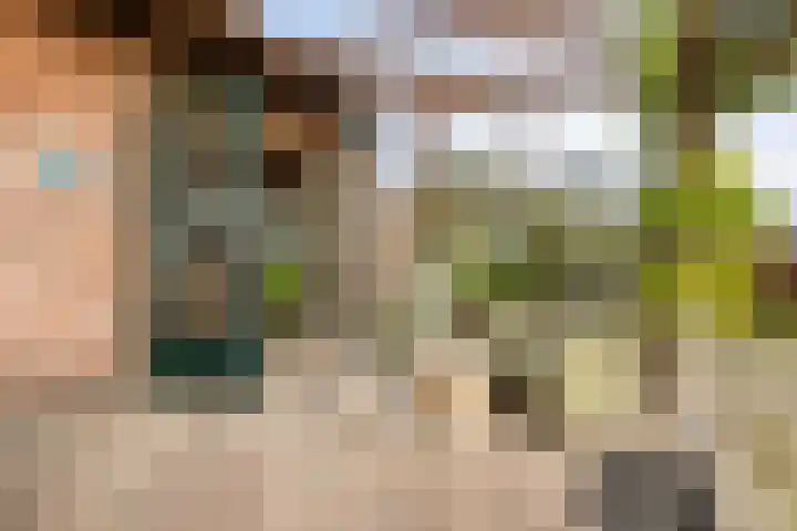 Schapenweg 14 Nietap thumbnail 27