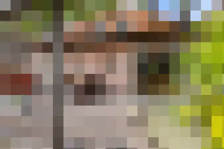 Schapenweg 14 Nietap thumbnail 28