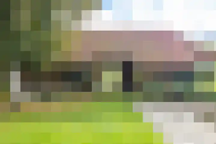 Schapenweg 14 Nietap thumbnail 29