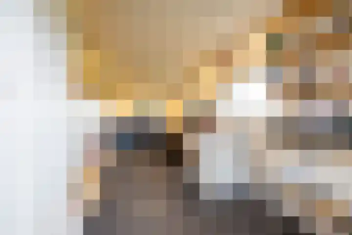 Schapenweg 14 Nietap thumbnail 31