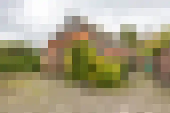 Schapenweg 14 Nietap thumbnail 32