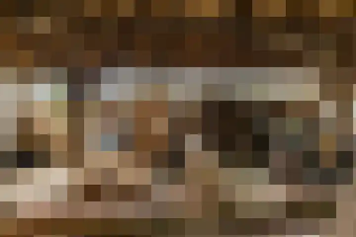 Schapenweg 14 Nietap thumbnail 33