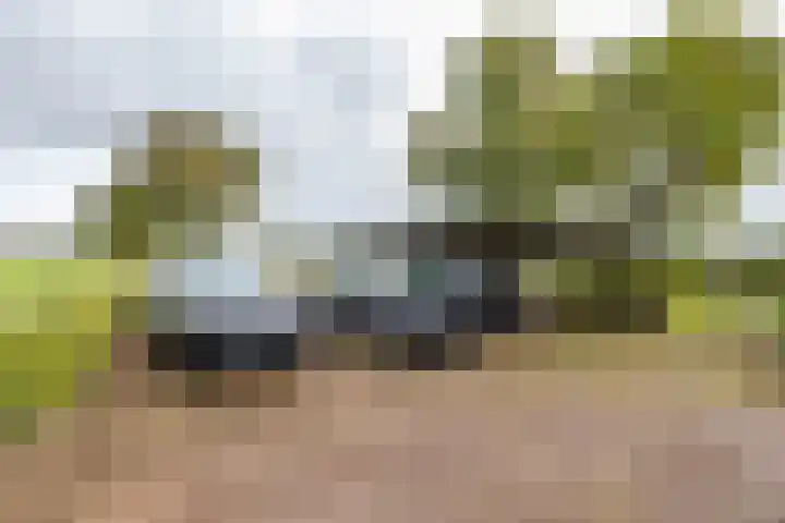 Schapenweg 14 Nietap thumbnail 34