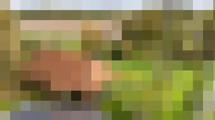 Schapenweg 14 Nietap thumbnail 36