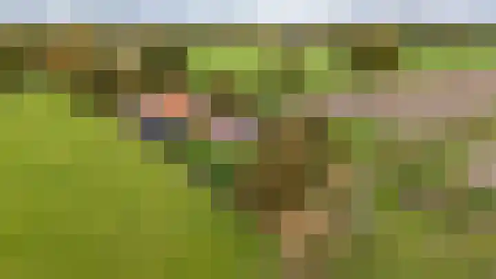 Schapenweg 14 Nietap thumbnail 37