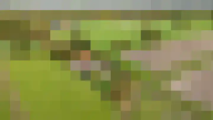 Schapenweg 14 Nietap thumbnail 38