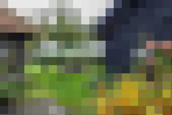 Schapenweg 14 Nietap thumbnail 39