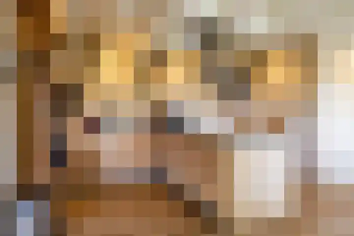 Schapenweg 14 Nietap thumbnail 4