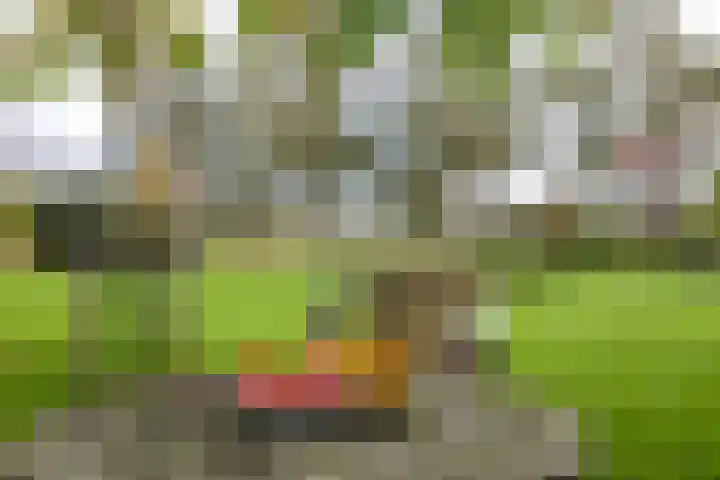 Schapenweg 14 Nietap thumbnail 40