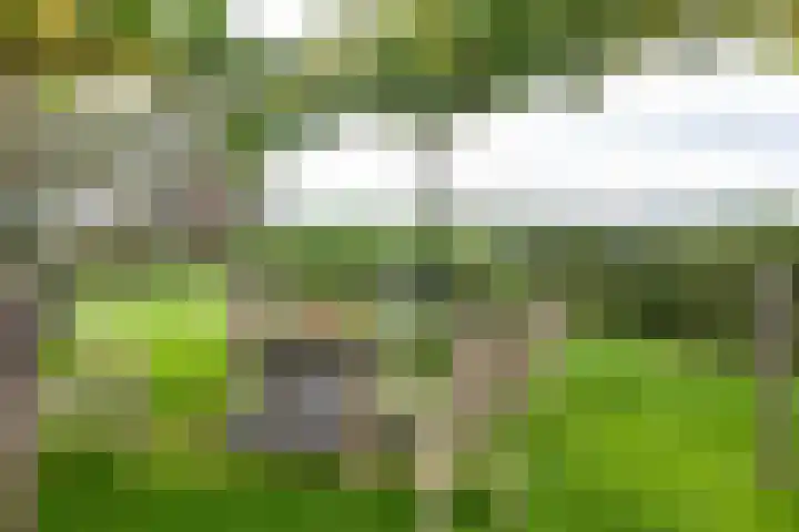 Schapenweg 14 Nietap thumbnail 41