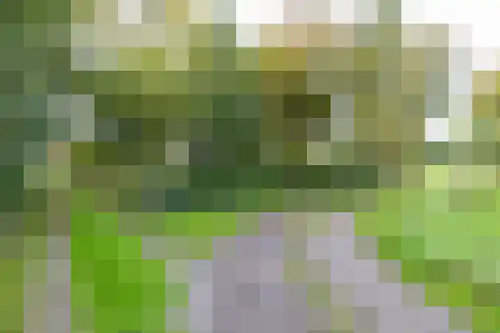 Schapenweg 14 Nietap thumbnail 7