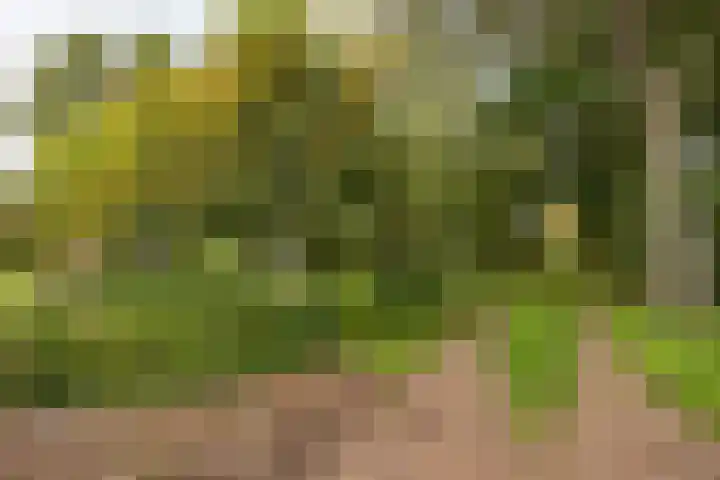 Schapenweg 14 Nietap thumbnail 8