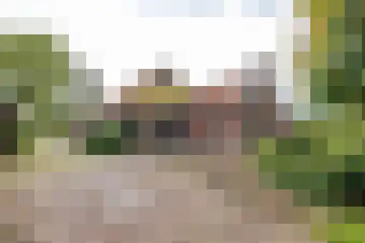 Schapenweg 14 Nietap thumbnail 9