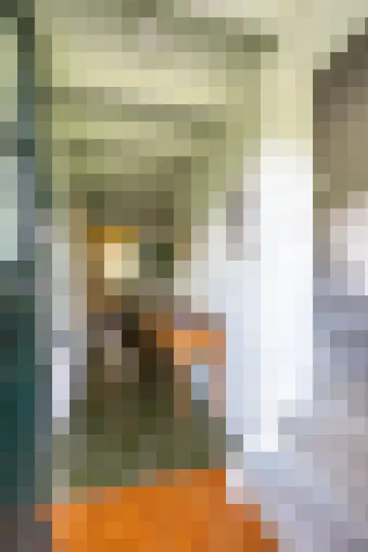 Schapenweg 16 Nietap thumbnail 11