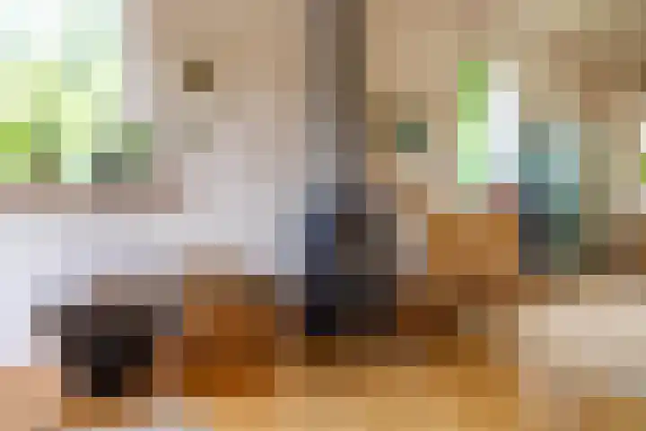 Schapenweg 16 Nietap thumbnail 14
