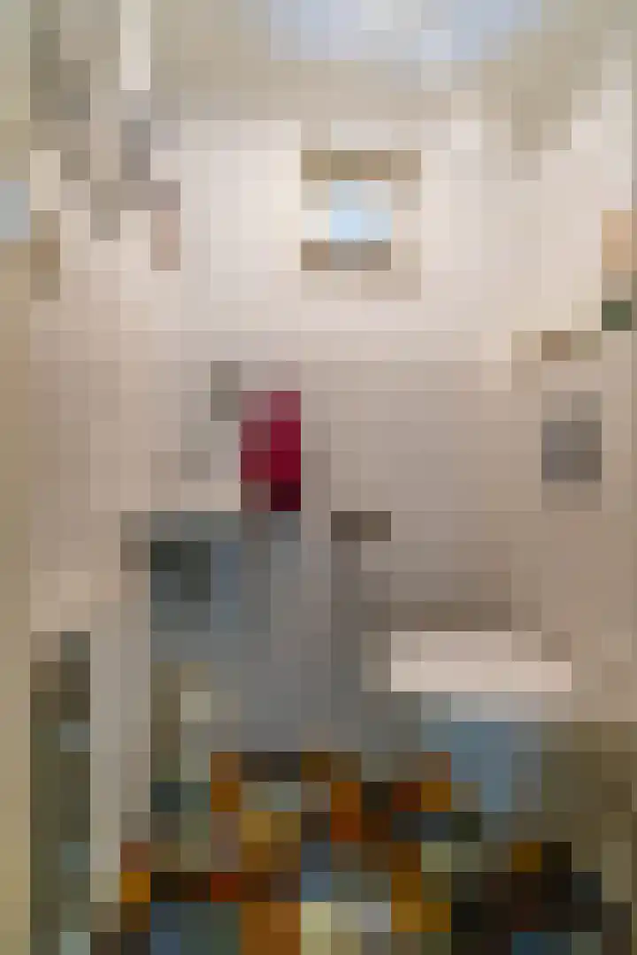 Schapenweg 16 Nietap thumbnail 26