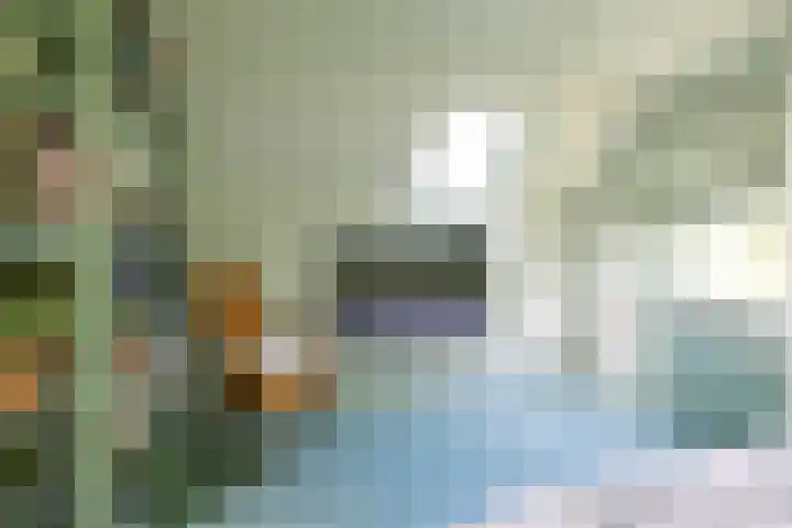 Schapenweg 16 Nietap thumbnail 28