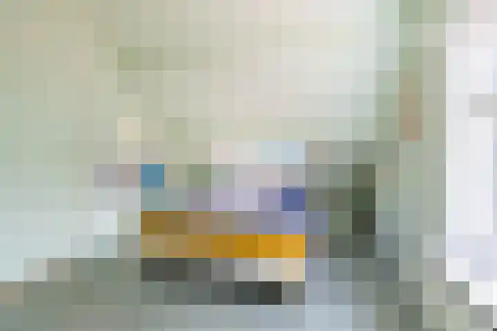 Schapenweg 16 Nietap thumbnail 31