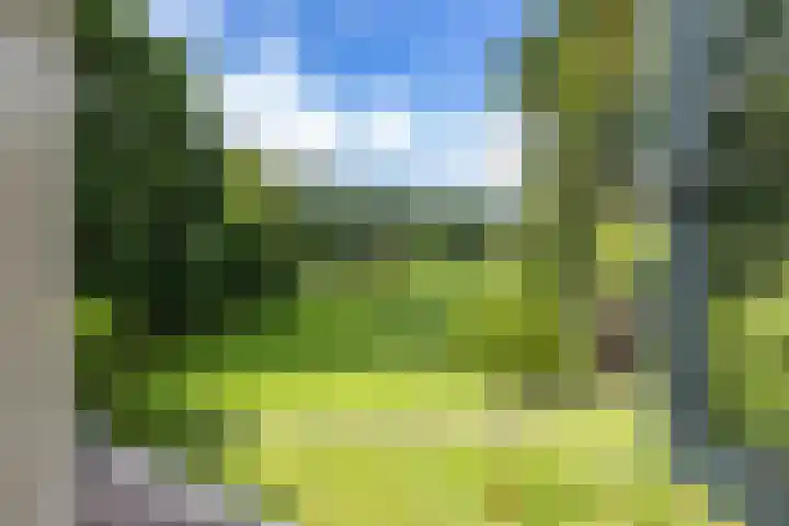 Schapenweg 16 Nietap thumbnail 34