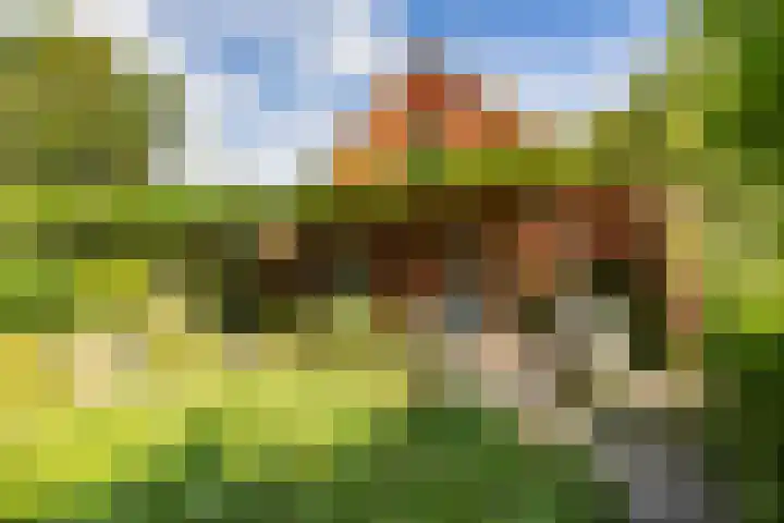 Schapenweg 16 Nietap thumbnail 35