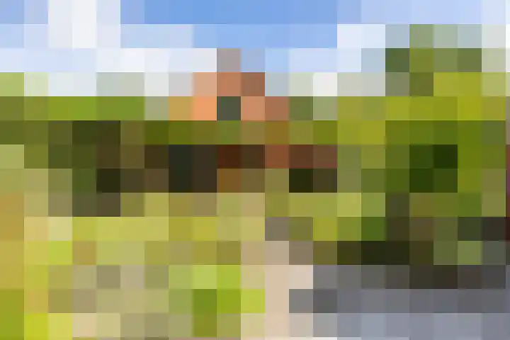 Schapenweg 16 Nietap thumbnail 36