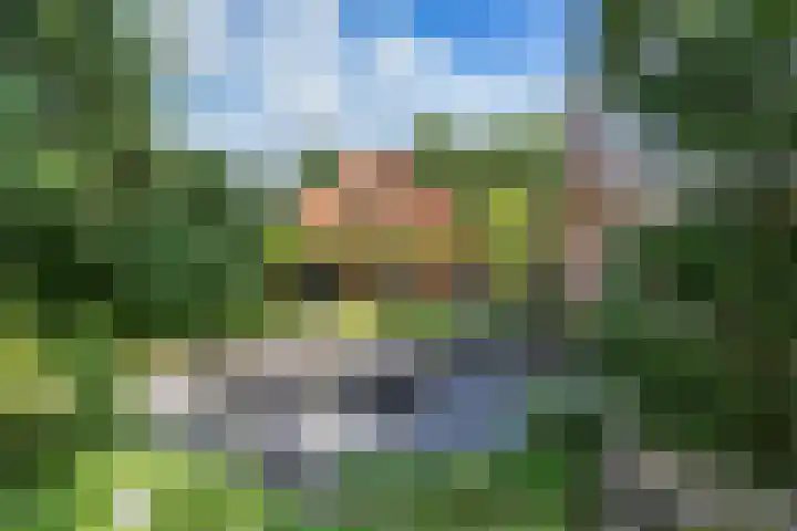 Schapenweg 16 Nietap thumbnail 37