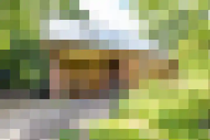 Schapenweg 16 Nietap thumbnail 39