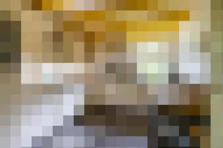 Schapenweg 16 Nietap thumbnail 4