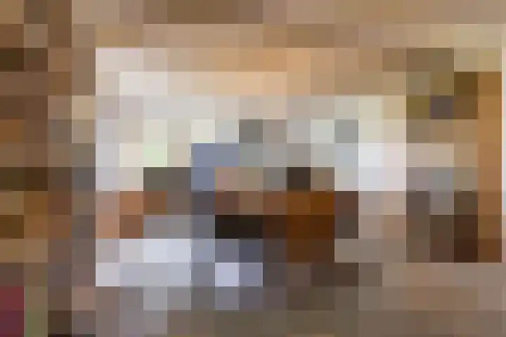 Schapenweg 16 Nietap thumbnail 41