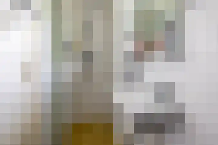 Schapenweg 16 Nietap thumbnail 42