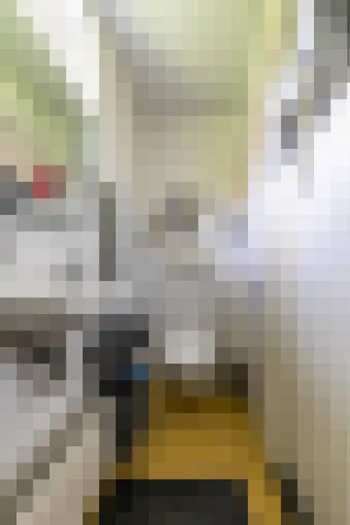 Schapenweg 16 Nietap thumbnail 43