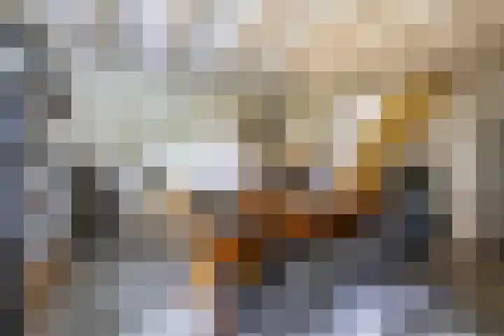 Schapenweg 16 Nietap thumbnail 44