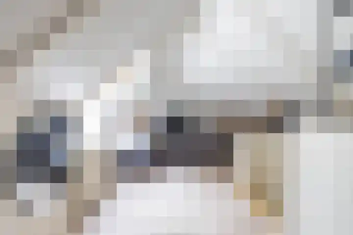 Schapenweg 16 Nietap thumbnail 46