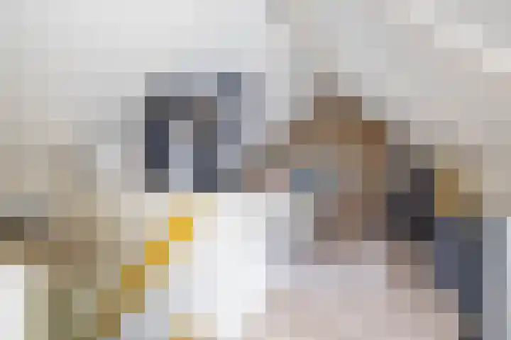 Schapenweg 16 Nietap thumbnail 49