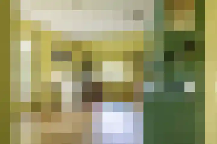 Schapenweg 16 Nietap thumbnail 5